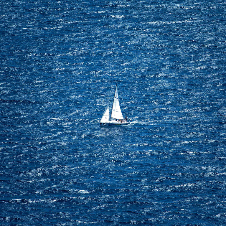 Where the Wind Takes It
